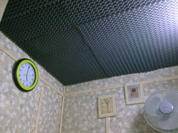 Foto publica de goldenfish